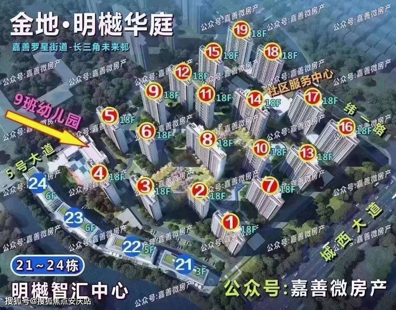 狗头军师打一准确生肖，详细解答、科学解答解释落实