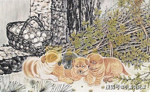 今期生肖讲故事吼中杂狗全可收是什么生肖，详细解答、全面解答解释落实